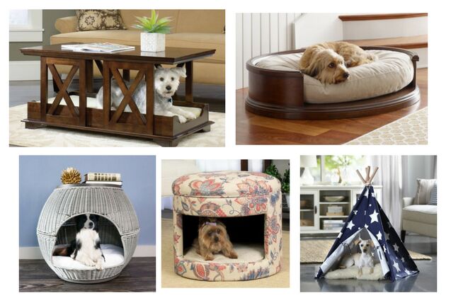 12 pieces of functional and fabulous pet furniture