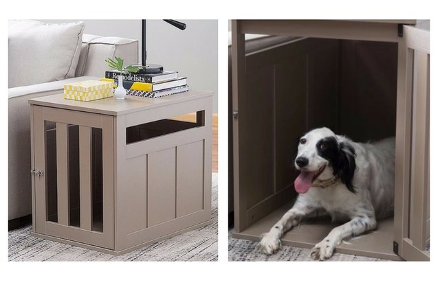 12 pieces of functional and fabulous pet furniture