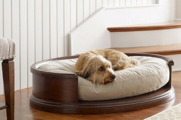 12 pieces of functional and fabulous pet furniture