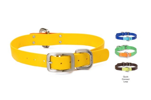 global pet expo west paws new collar and leash line helps prevent