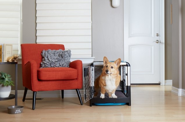 this collapsible dog crate from kickstarter is a pawrents dream com