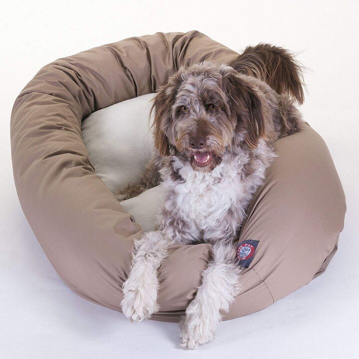 casper dog bed review sweet dreams for dogs