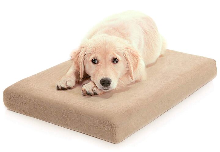 casper dog bed review sweet dreams for dogs