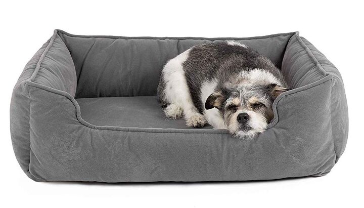 casper dog bed review sweet dreams for dogs