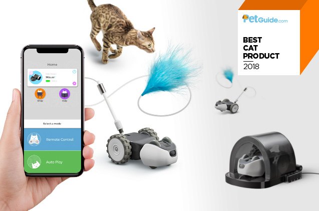 petguides best new cat product of 2018 petronics mousr