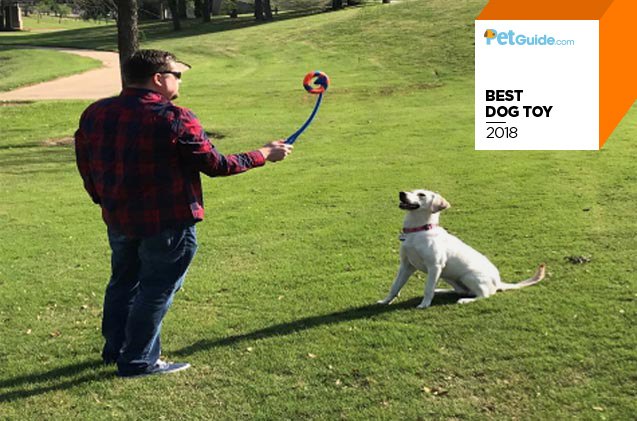 petguides best dog toy of 2018 petmates chuckit ringchaser