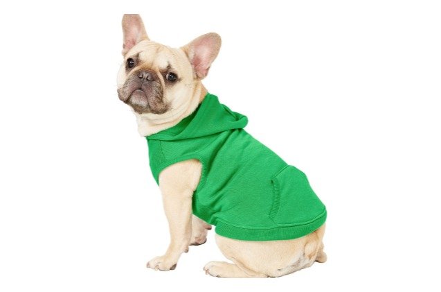 top 17 st patricks day gifts for dogs