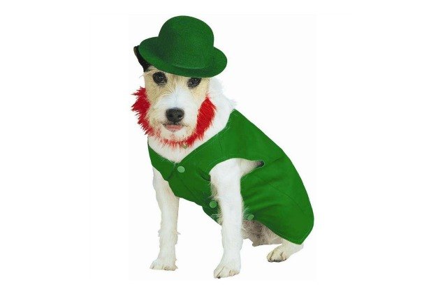 top 17 st patricks day gifts for dogs