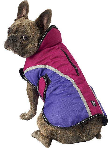 top 10 best winter jackets for dogs