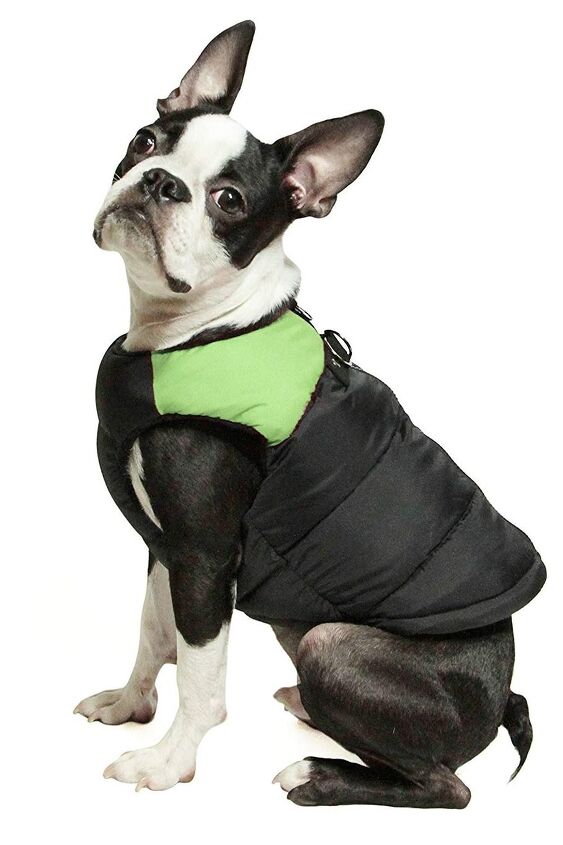 top 10 best winter jackets for dogs