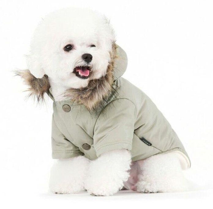 top 10 best winter jackets for dogs