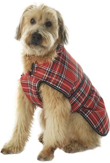 top 10 best winter jackets for dogs