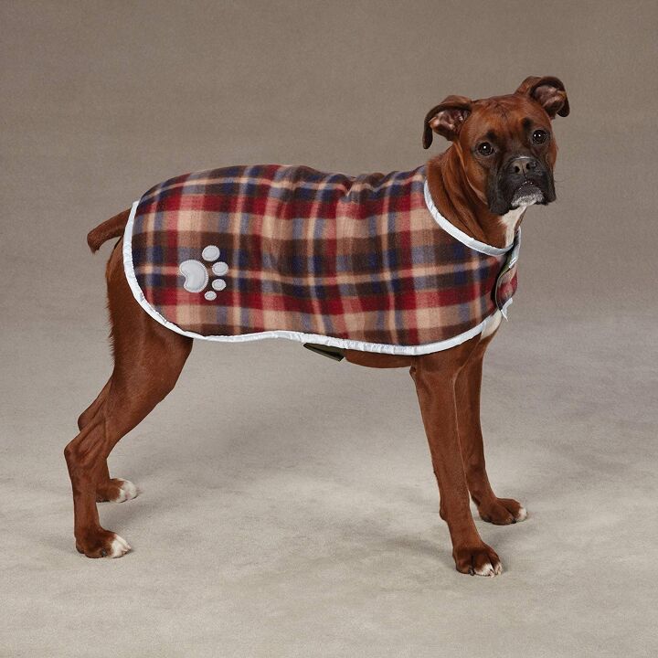 top 10 best winter jackets for dogs