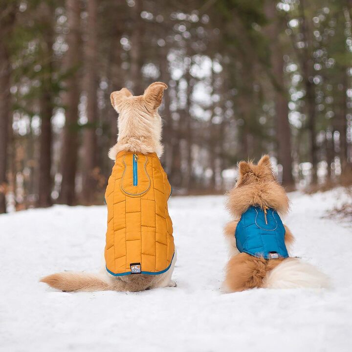 top 10 best winter jackets for dogs