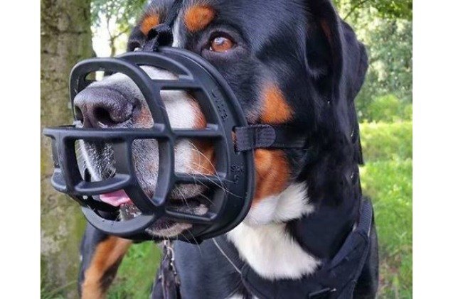 why the baskerville ultra muzzle is one of the best dog muzzles wev