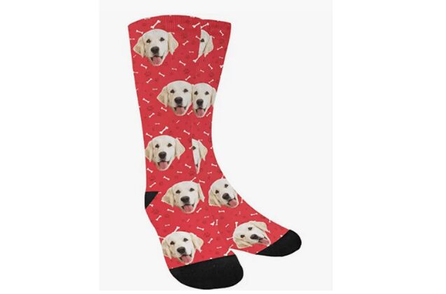 10 pawesome stocking stuffers