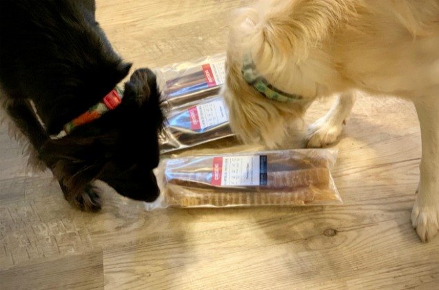 mybullysticks all treat no stink bully sticks for your best friend