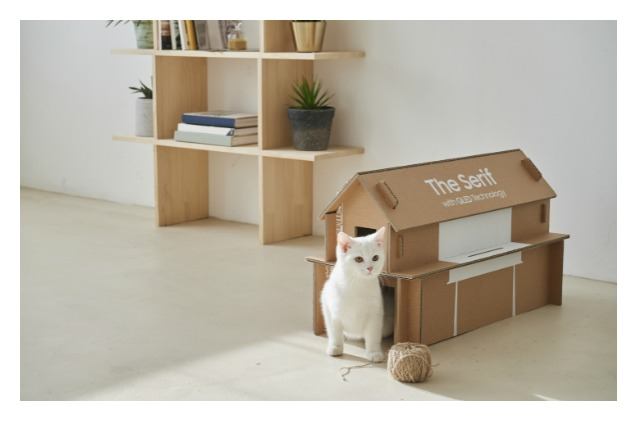 samsungs new tv boxes turn into cat houses