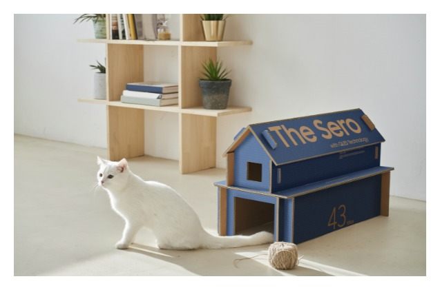 samsungs new tv boxes turn into cat houses